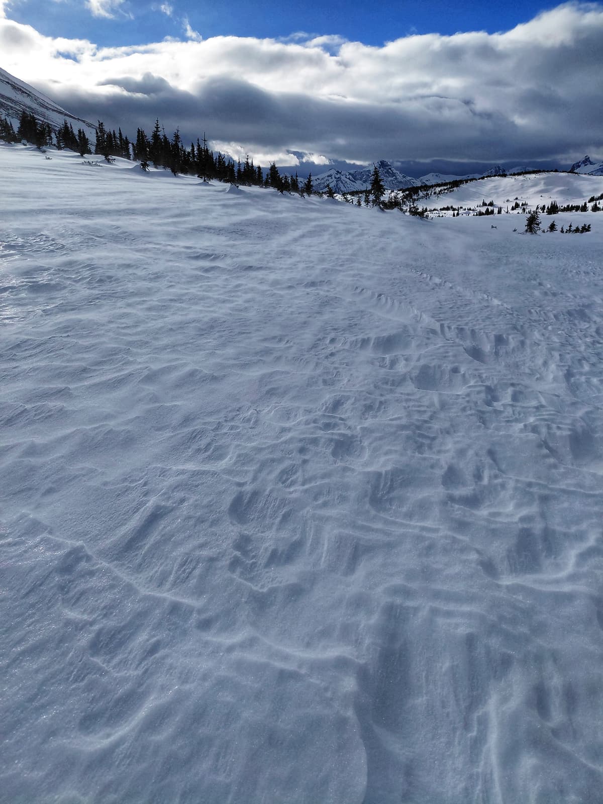 Widespread crust limiting snow transport