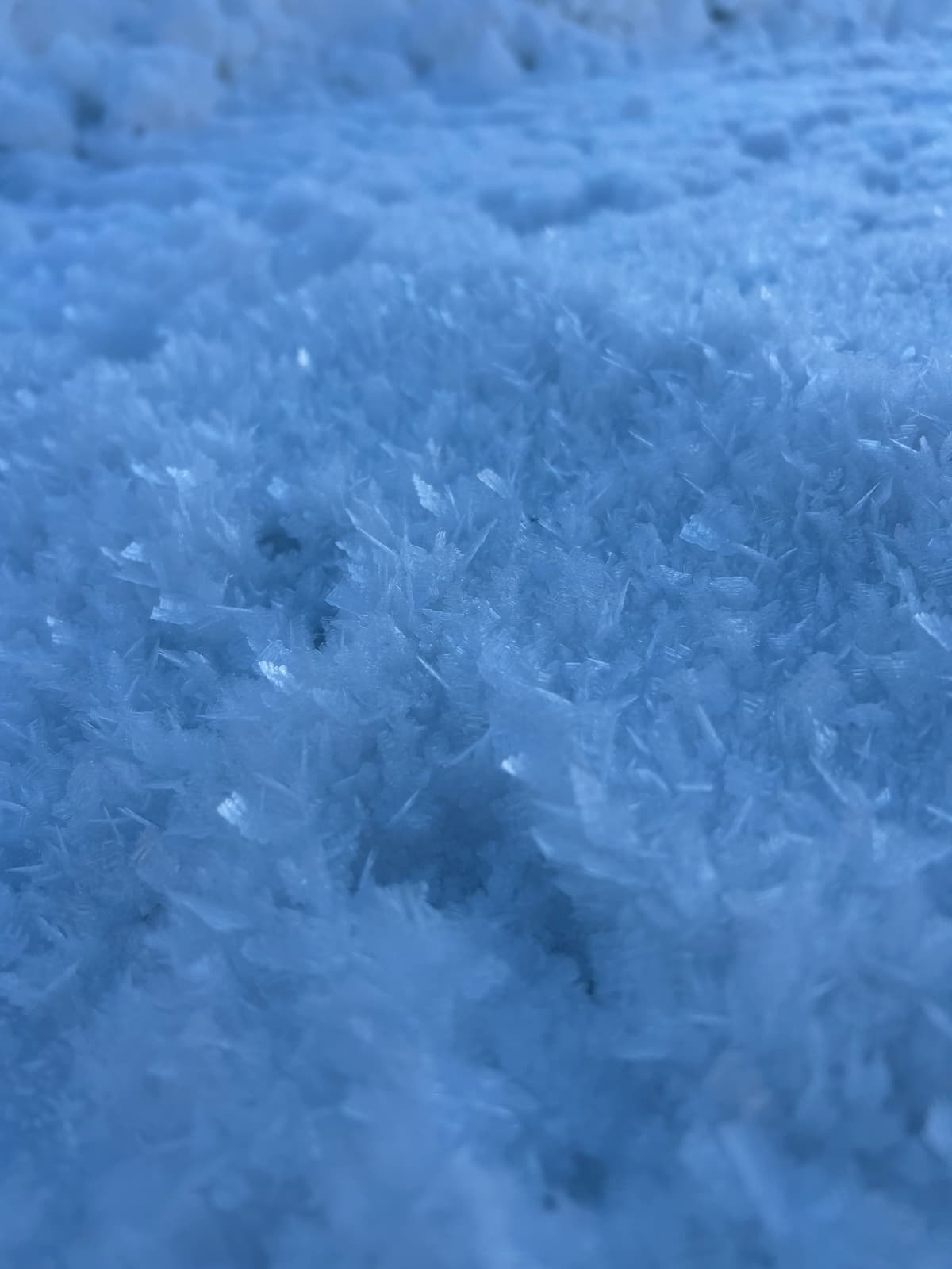 Widespread Surface Hoar was reported and seen in a large part of the region over the previous week. These large feathery crystals caused by cold calm and clear nights are a problem when buried!