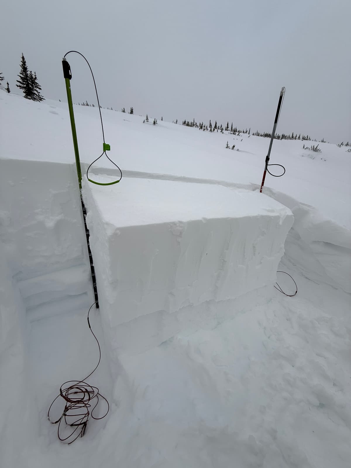 Our tests in a wind loaded feature confirmed the ability of this layer to be easily reactive, and have the conditions to connect far within the terrain.