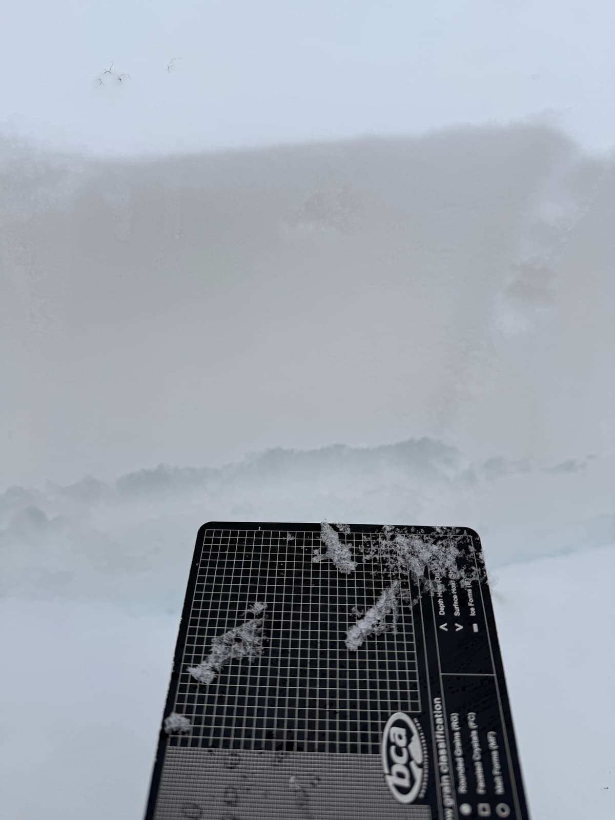 Last 2-3 days of snow and light winds have buried and preserved this surface hoar layer. Below the surface hoar is a crust which can make avalanches run easy and far.