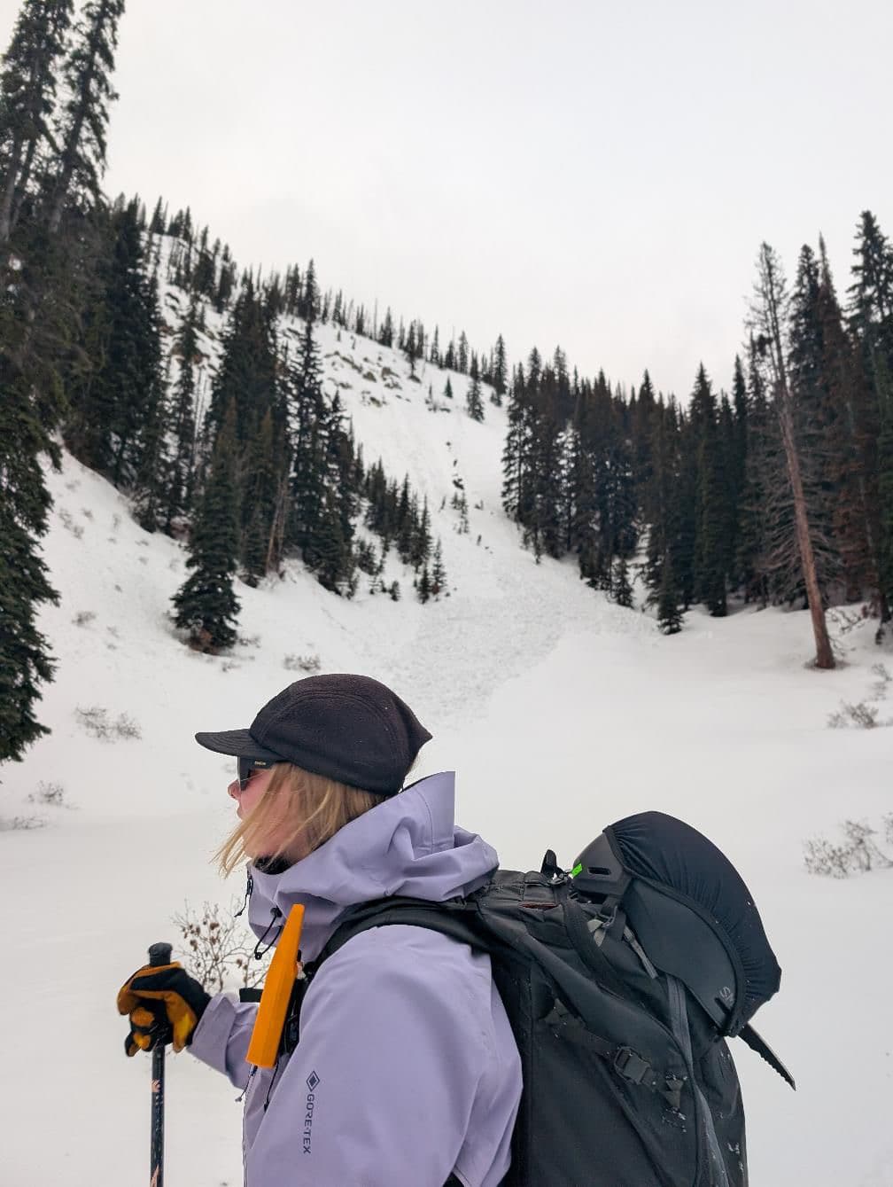 View looking towards old avalanche activity.