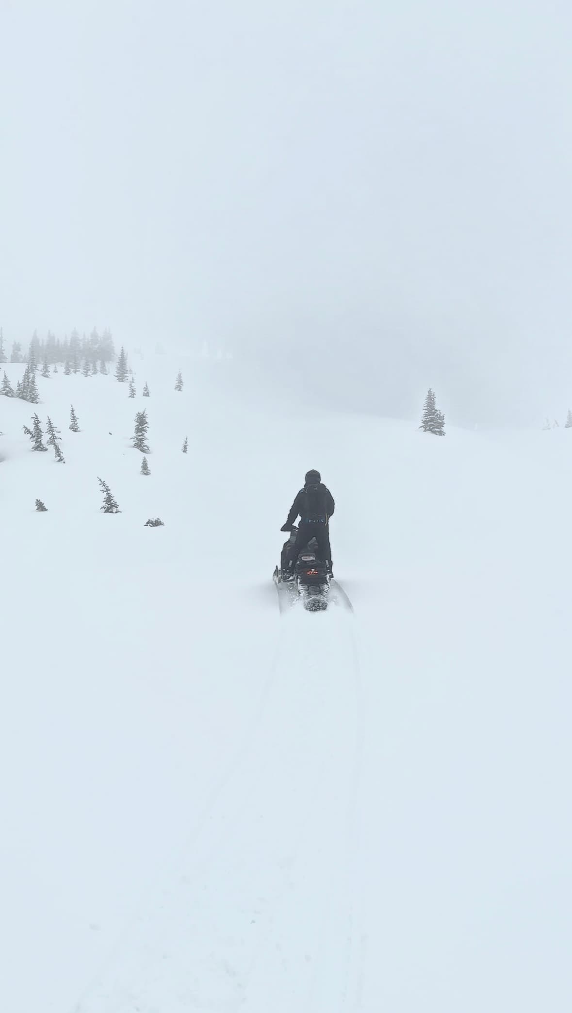 Warm and white up there. 