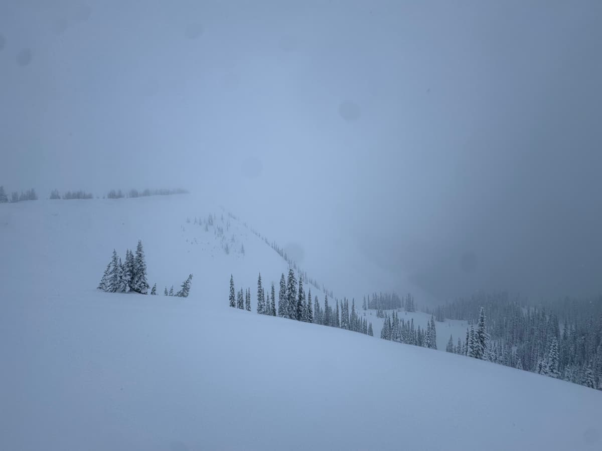 Some Fog all day 