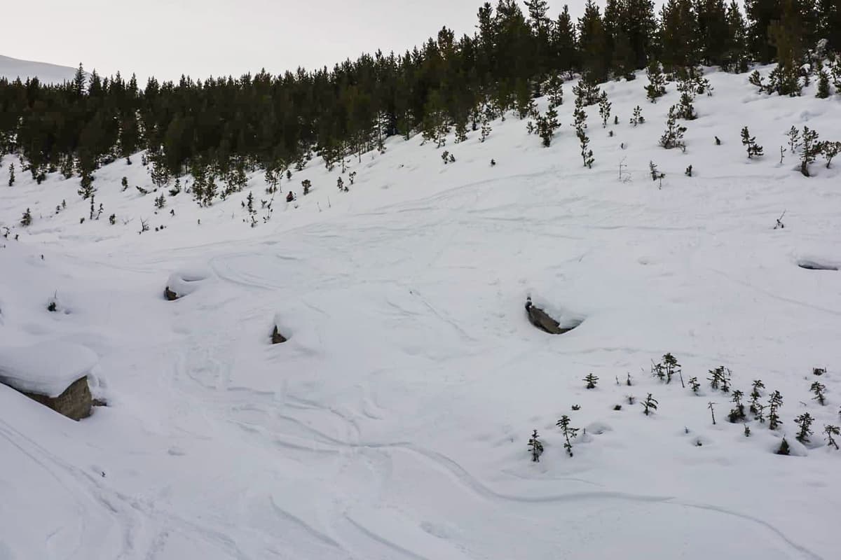 Lots of tracks
