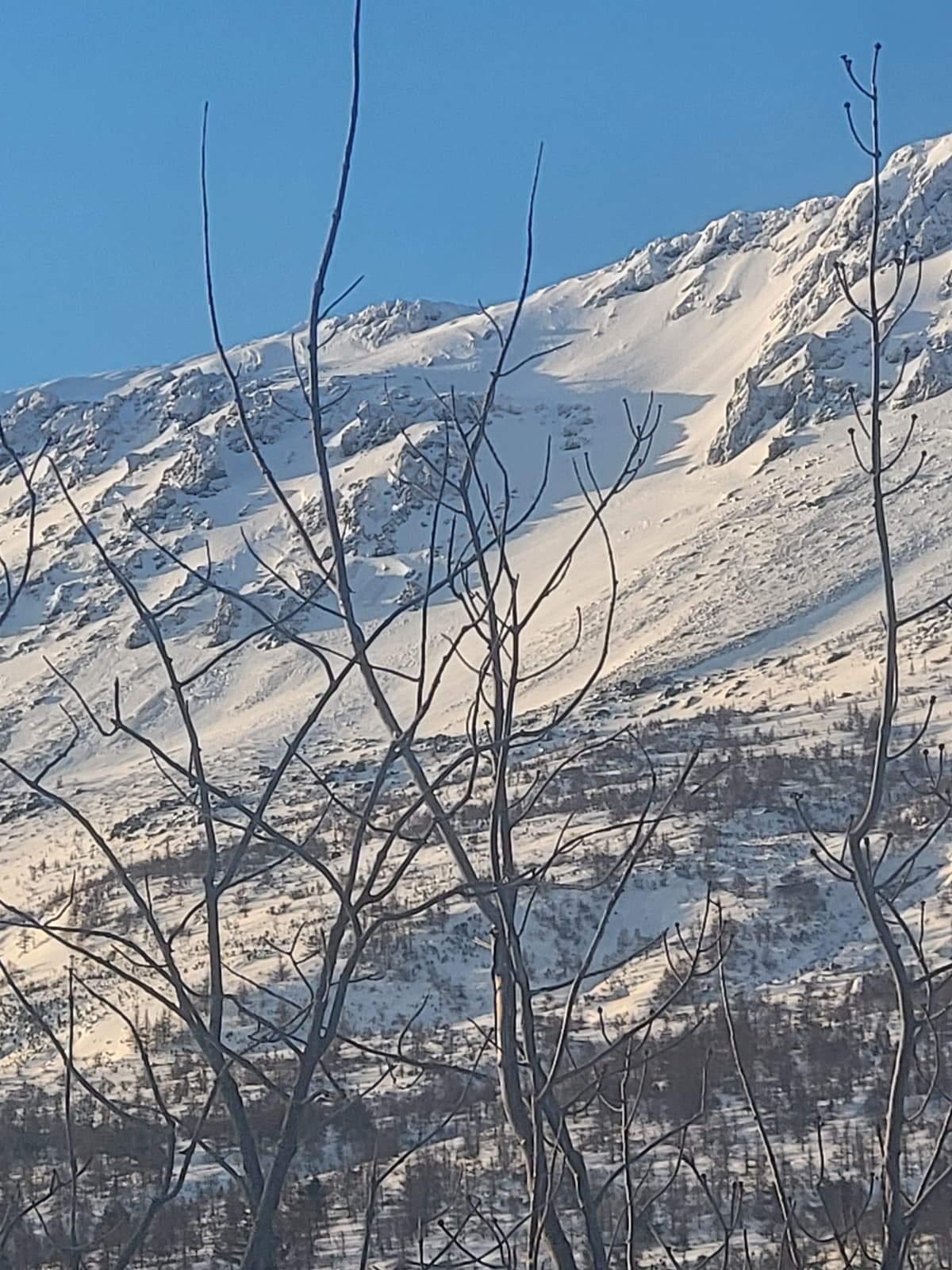 Good snow coverage in the chutes and gullies
Blue bird morning and no wind 