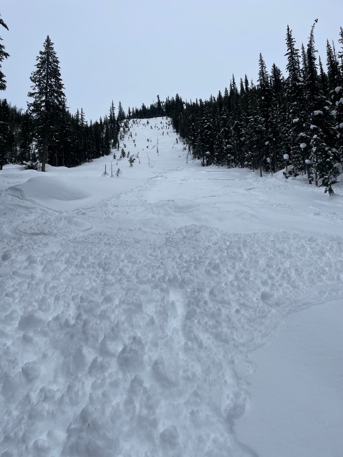 This is a nice angle from the bottom of the 0.5 incident 