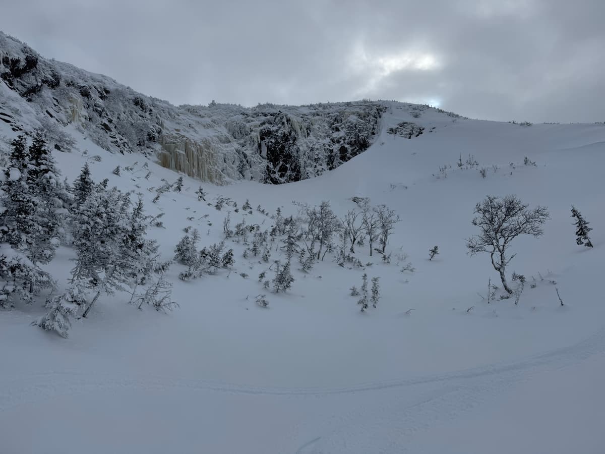 Great coverage in the alpine 250-300 cm average snow depths.