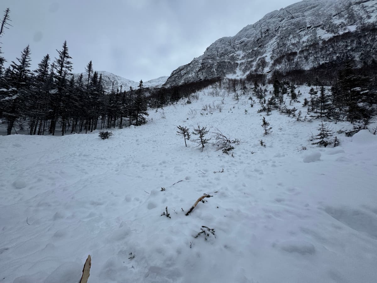 An old avalanche on the trail,  about a week old. 
