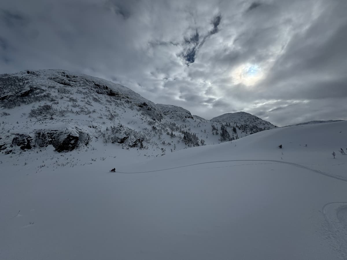 Open spaces and powder faces. 