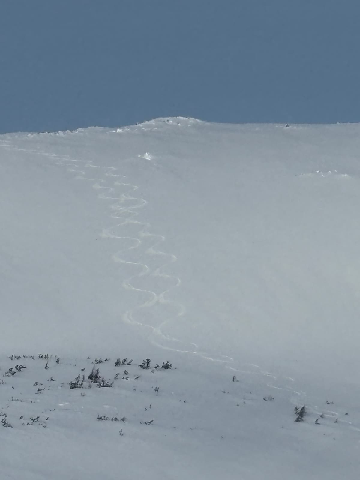 A bit wind affected up top but otherwise very consistent conditions on this mellow slope