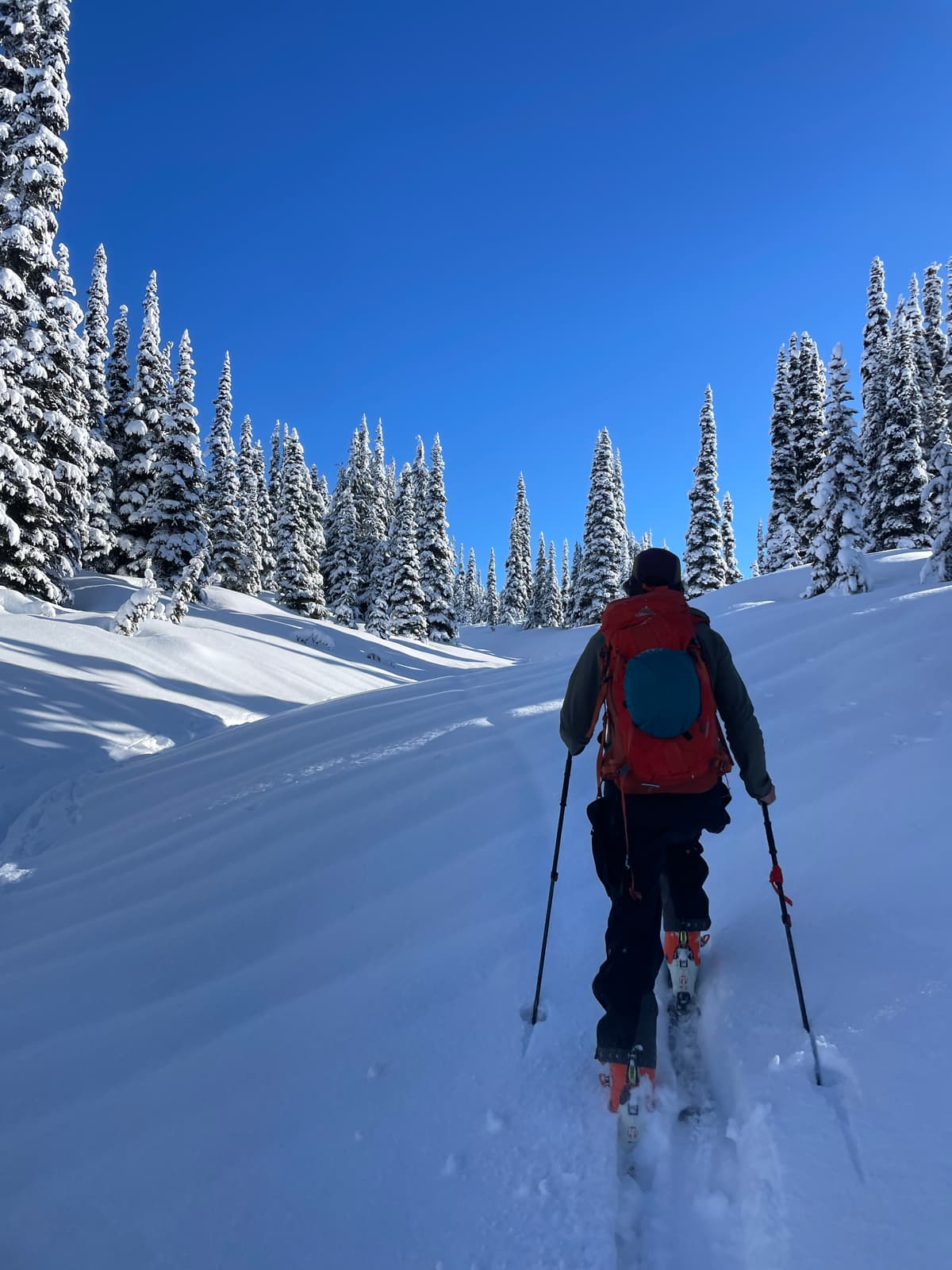 About 10-15cm at 1700m