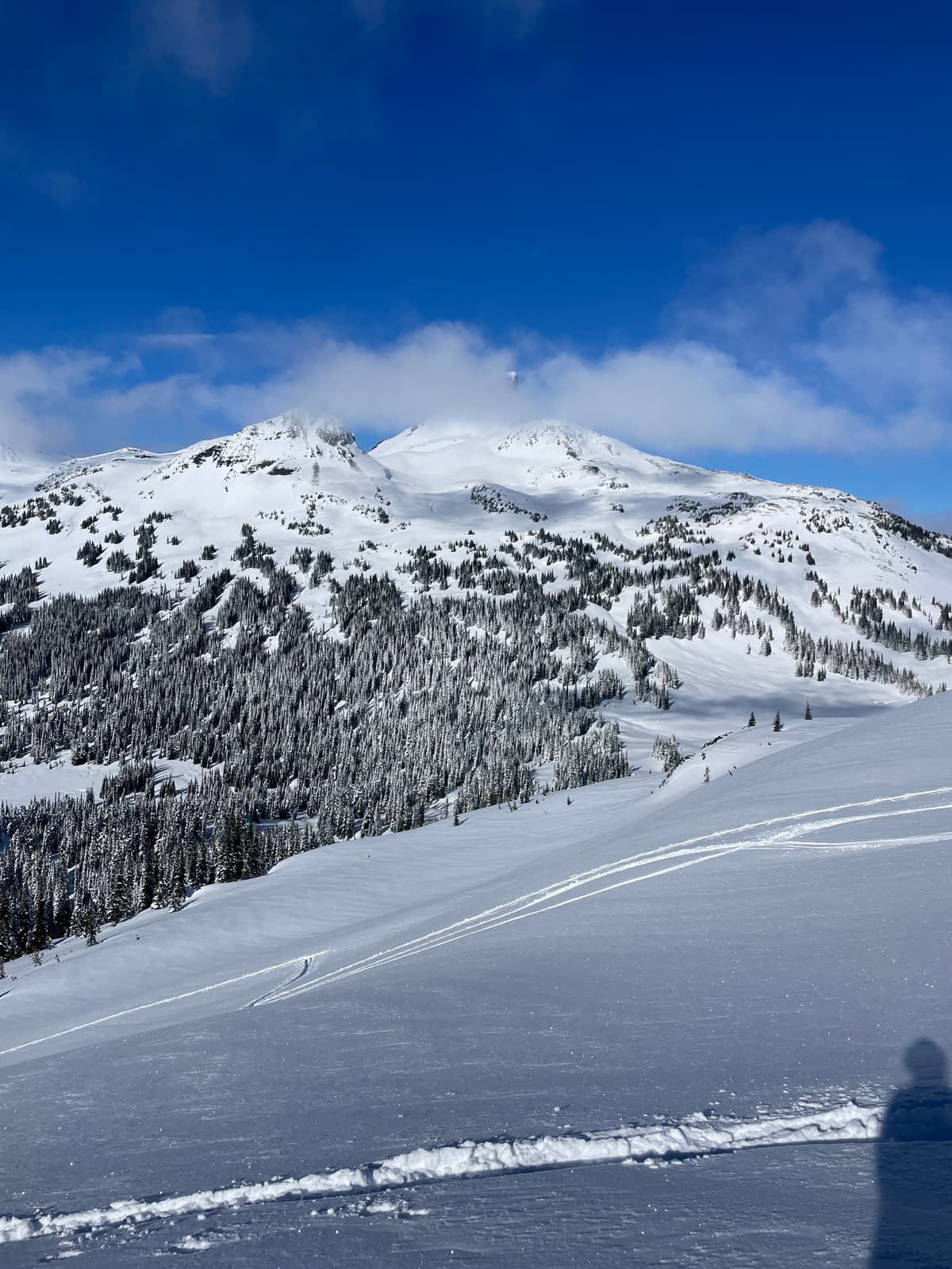 Coverage looked thin over by Black Tusk. 