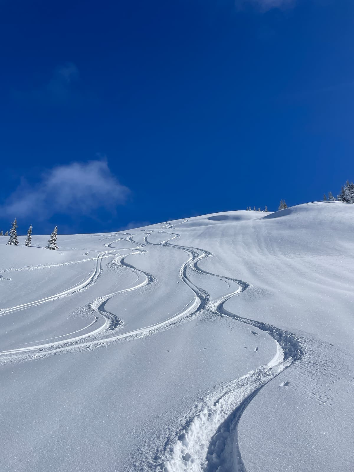Great skiing along the west facing ridge leading to Panorama. About 27cm of fresh snow above 1800m, light wind effect