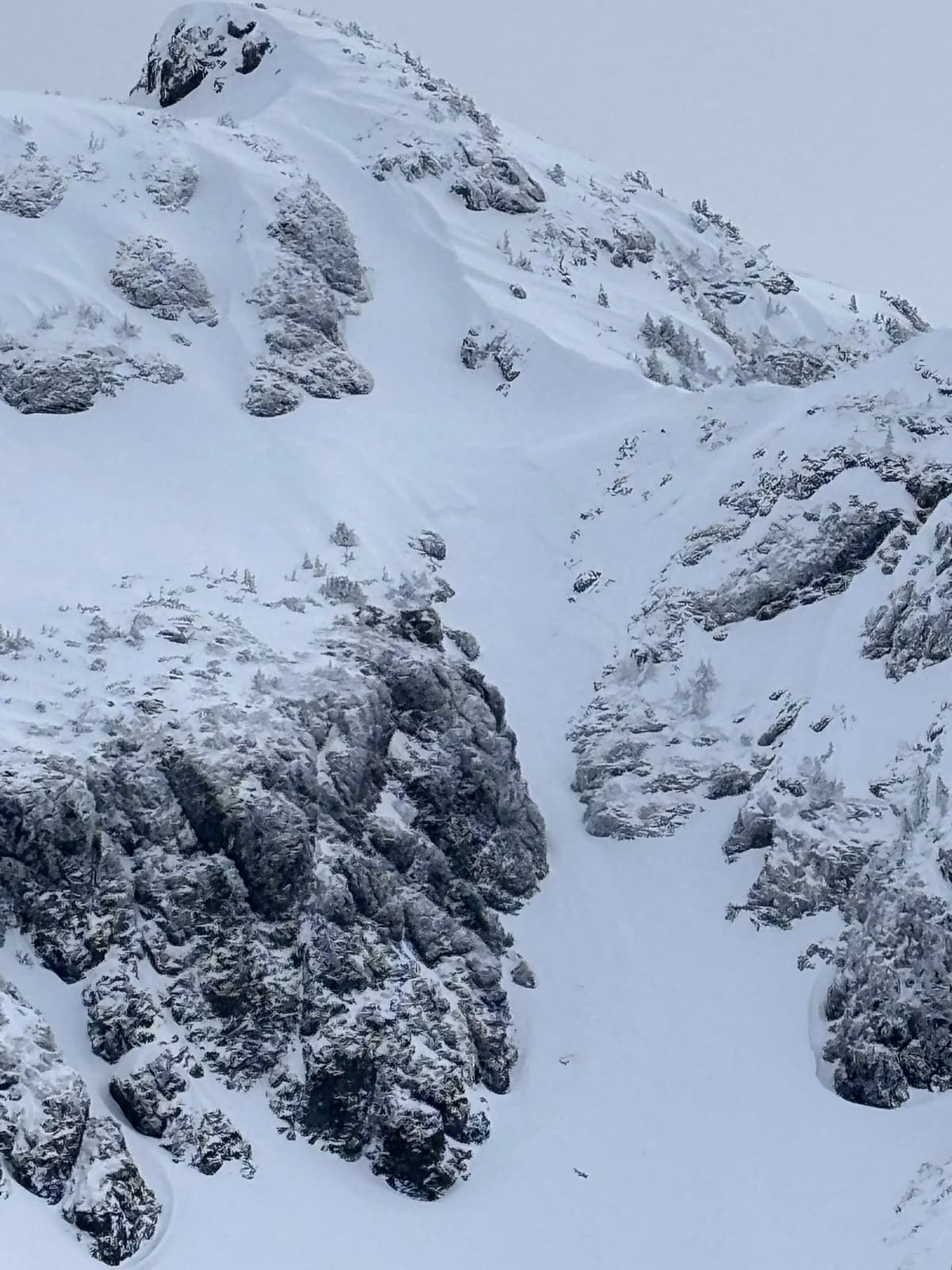 Storm slab size 1.5 avalanche in dream chute