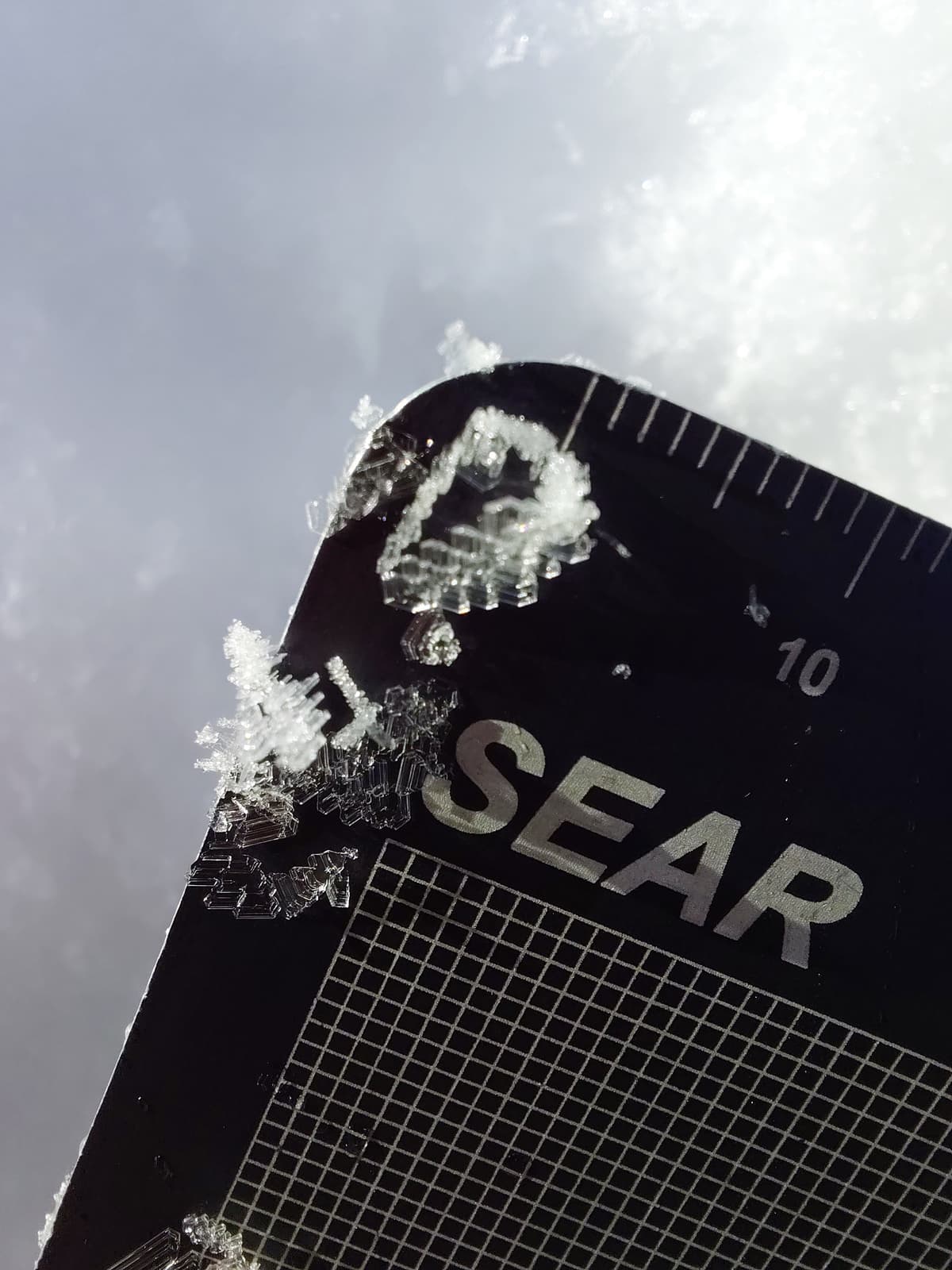 New surface hoar growing at TL