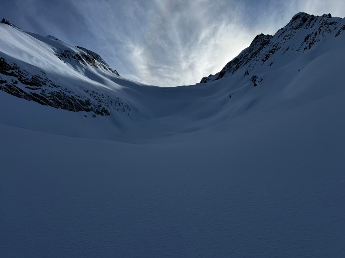 Lily glacier