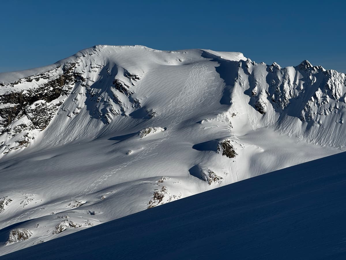 a few tracks on young headwall