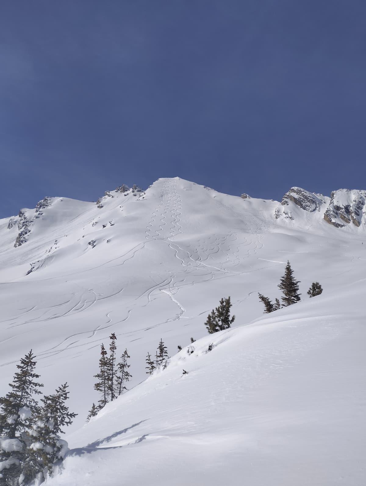 The sun was shining and the powder was bitchin!
