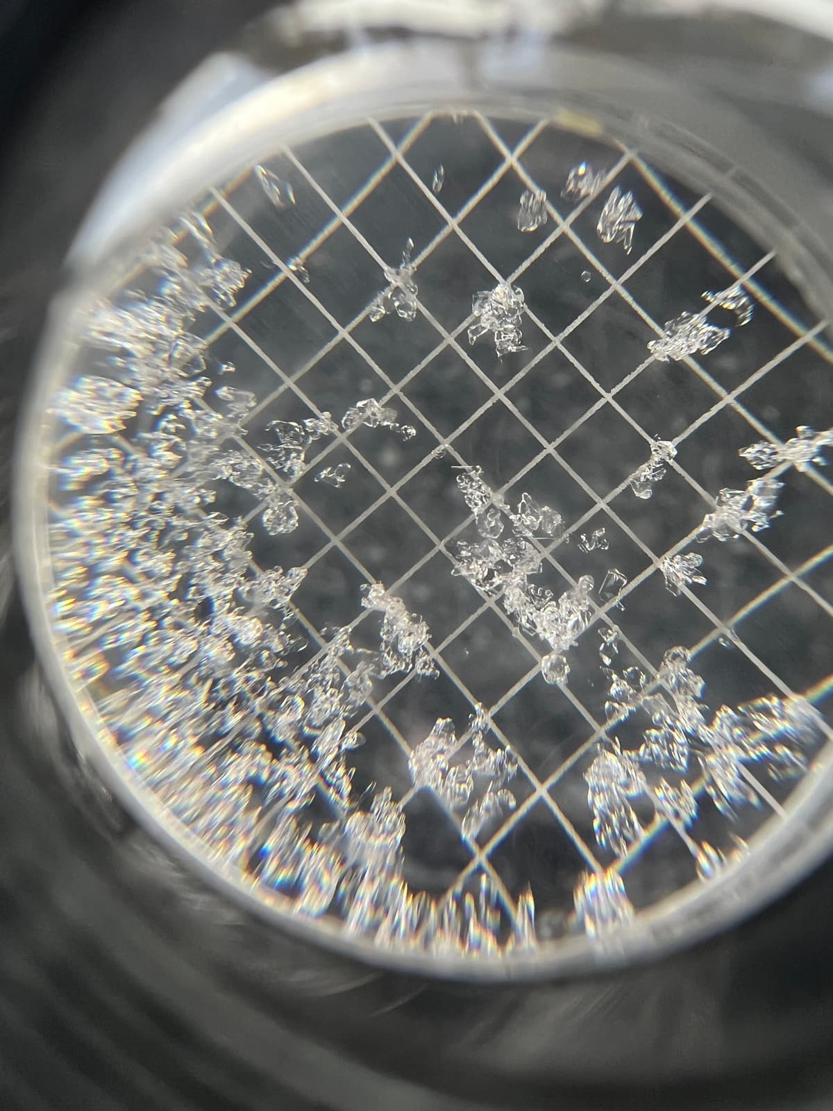 Facets make up the majority of the snowpack