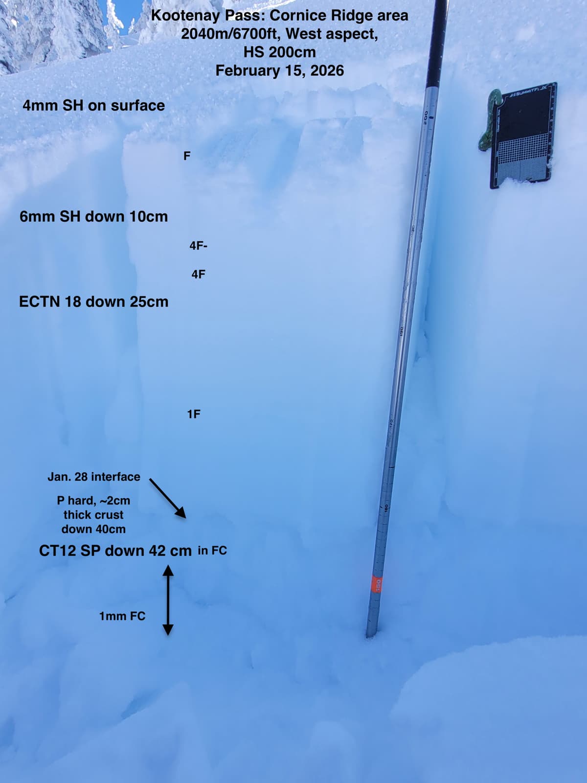 Annotated pit: Kootenay Pass on W asp at 2040m. February 15 2026.