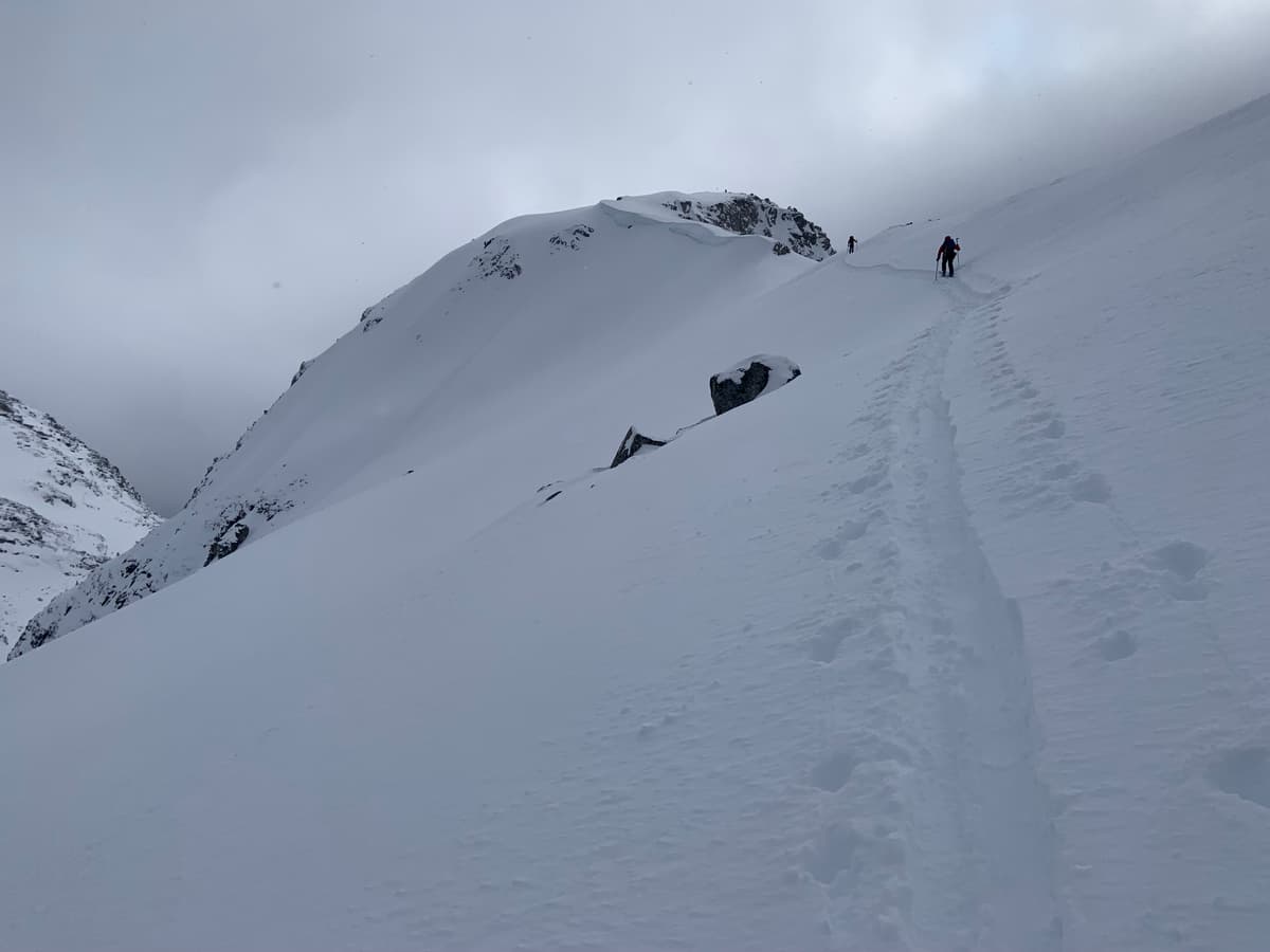 Mt Taylor South skied well, without any evidence of wind slabs. 