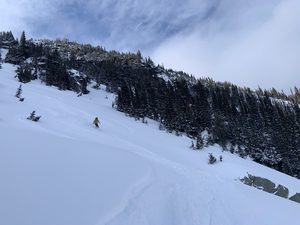 Open trees skied well