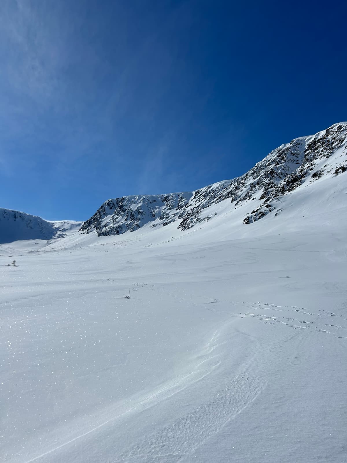 Looking into Winter House Canyon 