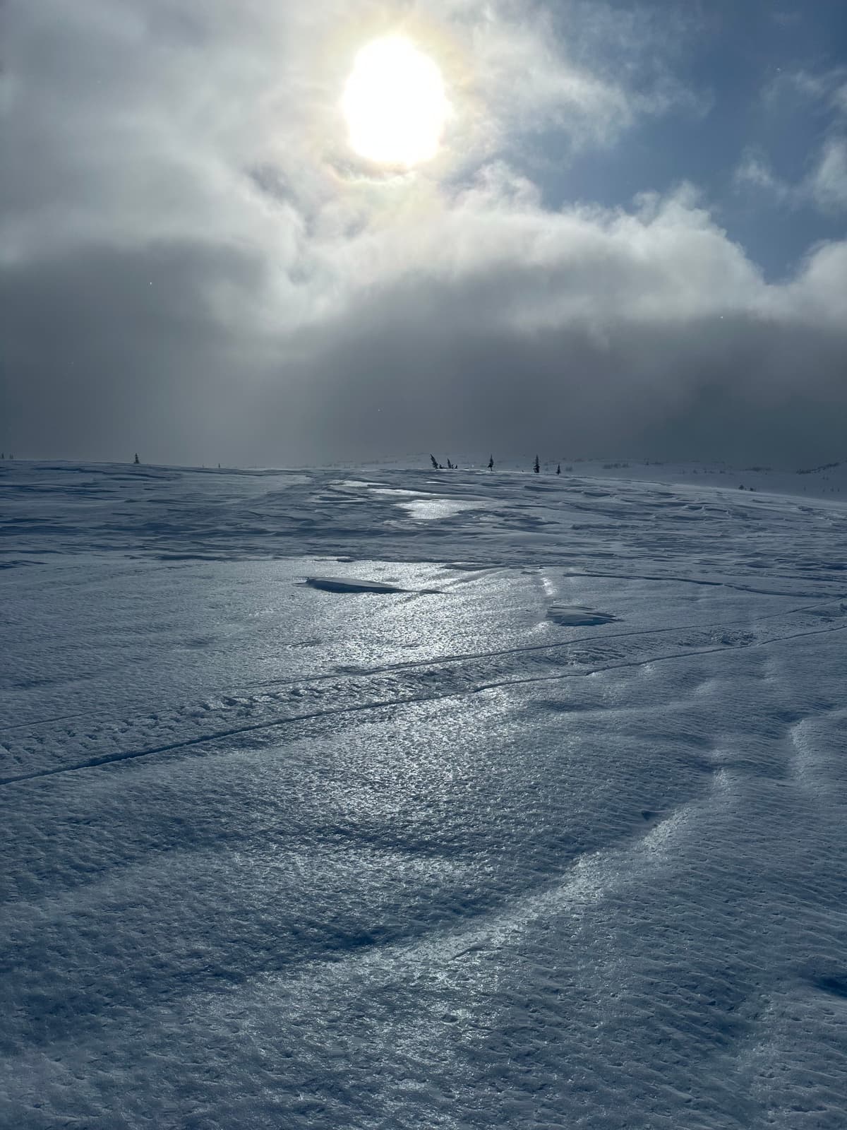 Wind scoured in exposed terrain.