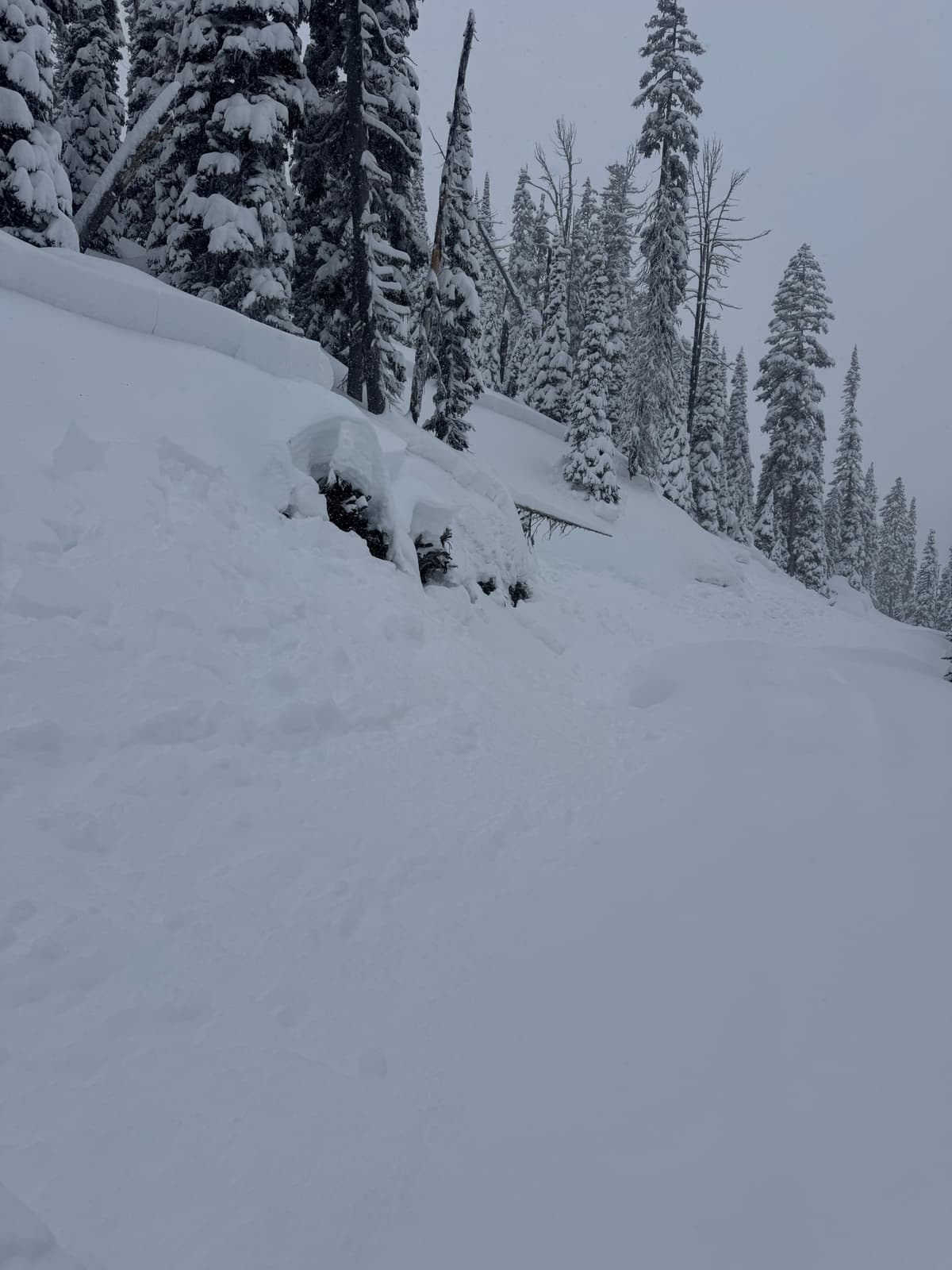North facing slope, road embankment 30+cm storm layer, remote triggered