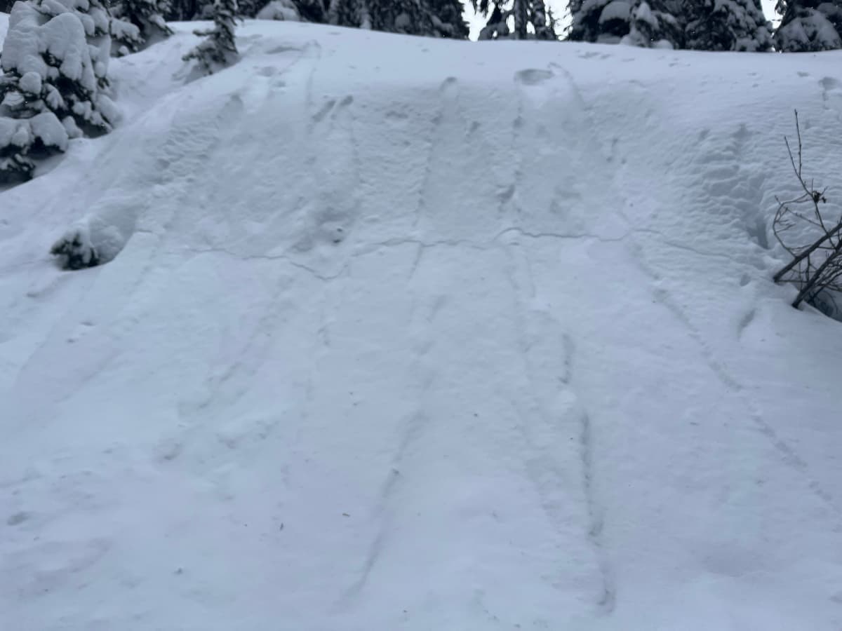 Still settling with some shooting cracks, but not as much as yesterday 