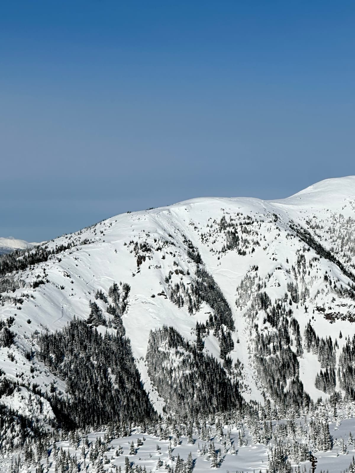 A couple small wind slabs we observed and some glide cracks. 