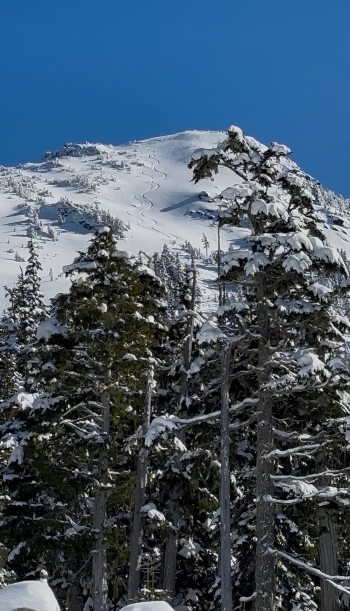 Looking up at our lines from the end of the access road 