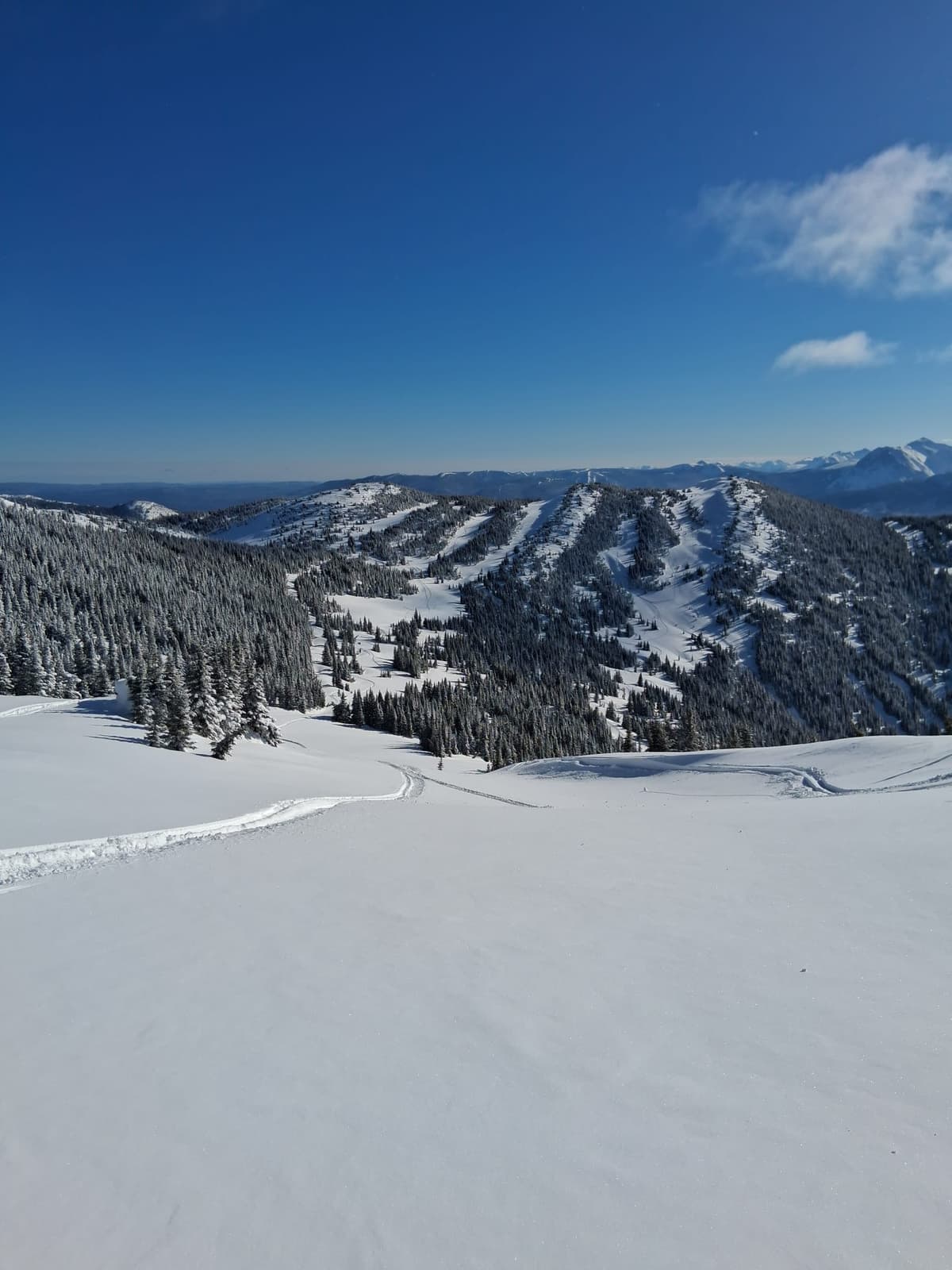 Sheltered gullies, meadows and trees still held 15-30 cm of softer snow, but the crust could be felt at the bottom. 
