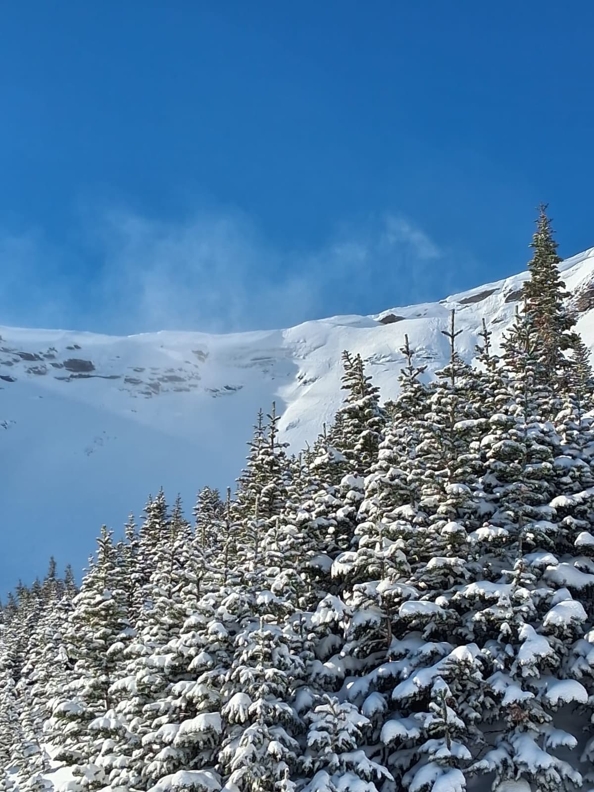 There's still some snow moving. Small but fresh wind slabs were forming on north through east apects along ridge lines and roll overs.