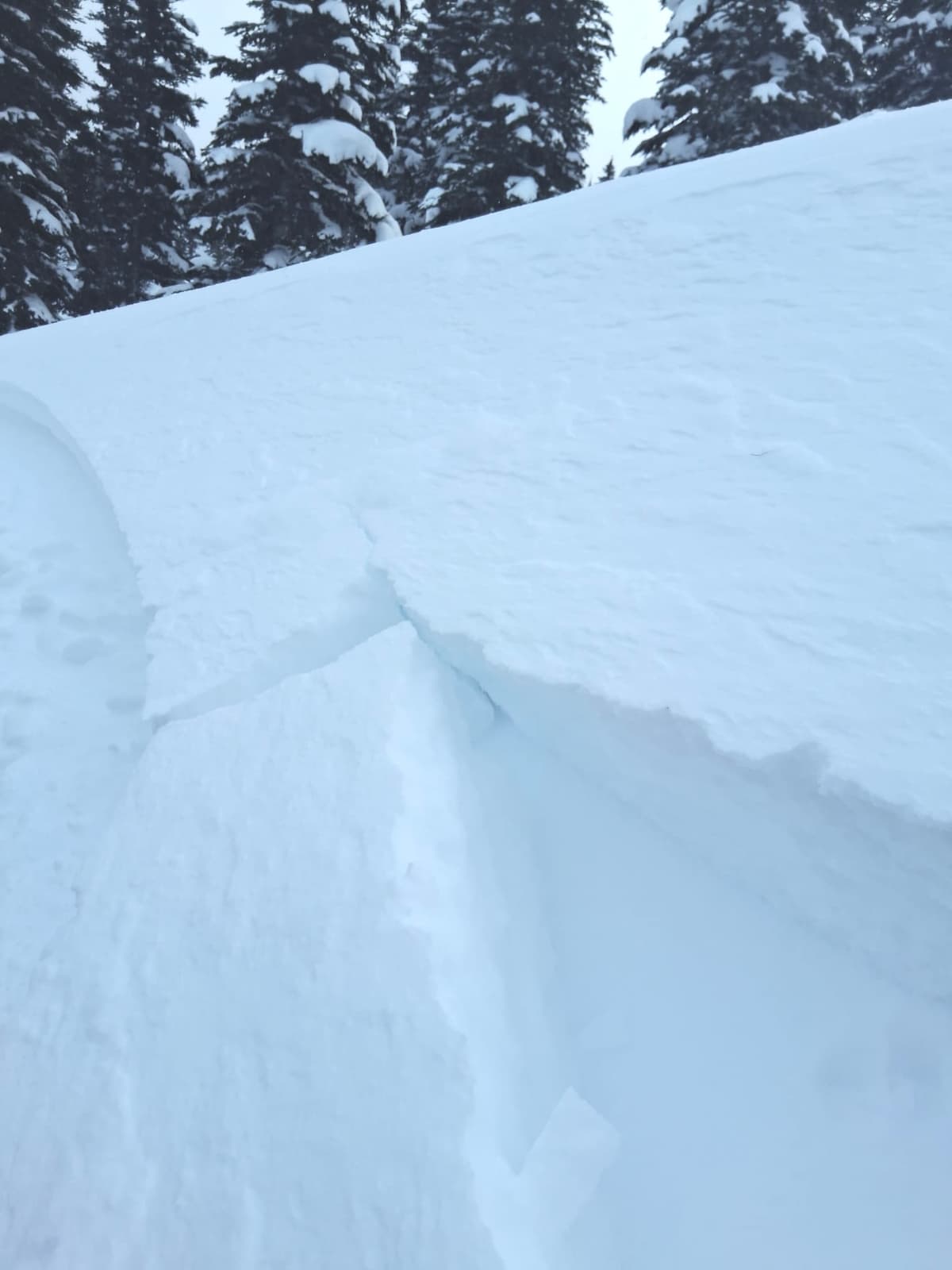 We had some limited cracking about 20 cm deep in a soft wind slab in areas that would normally be considered sheltered terrain.  