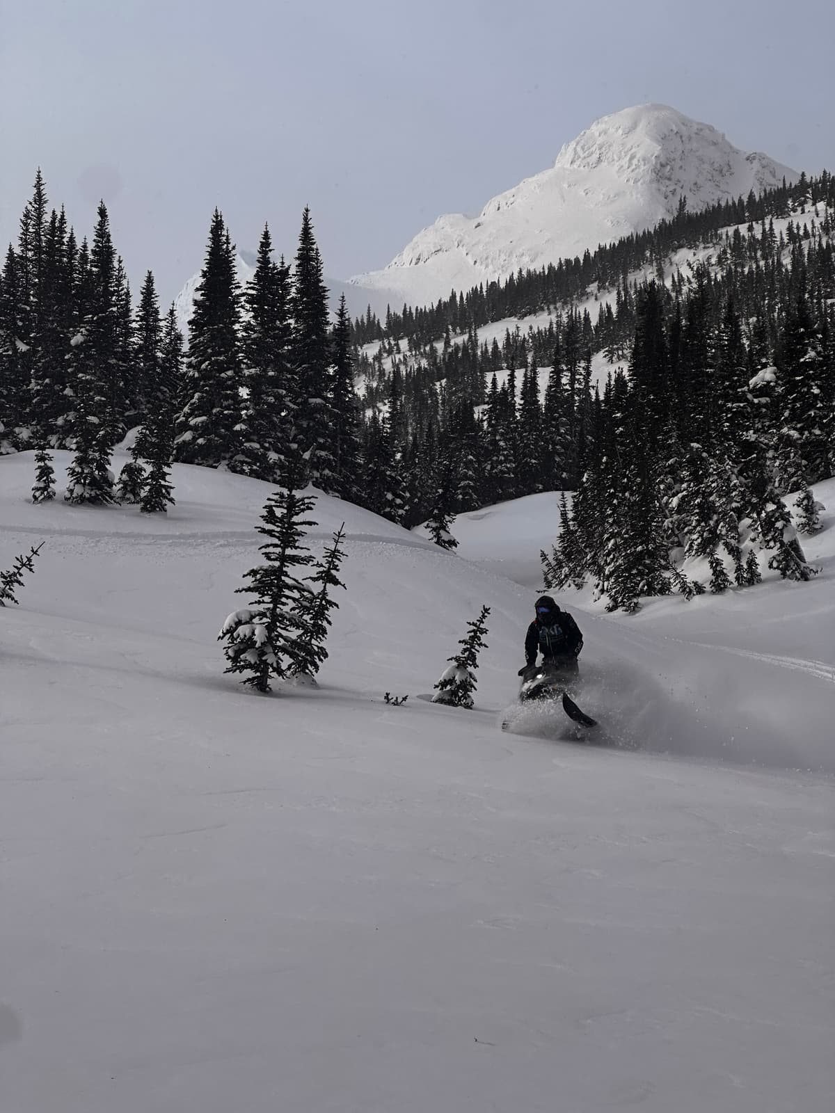 There are pockets of softer snow in isolated pockets around treeline and below. It takes some looking, but they are there.