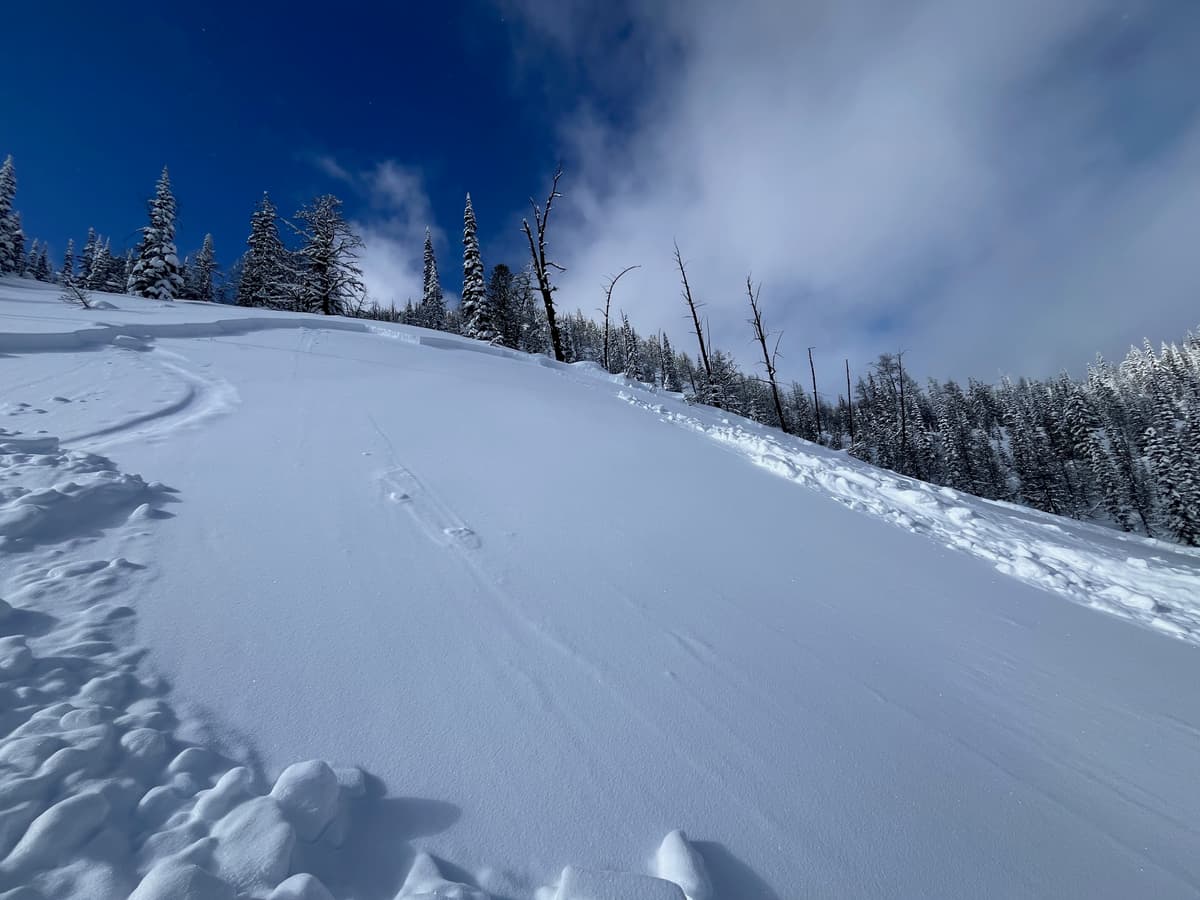 Size 2, natural avalanche at ~2100m, E aspect. Crown continues out of frame.