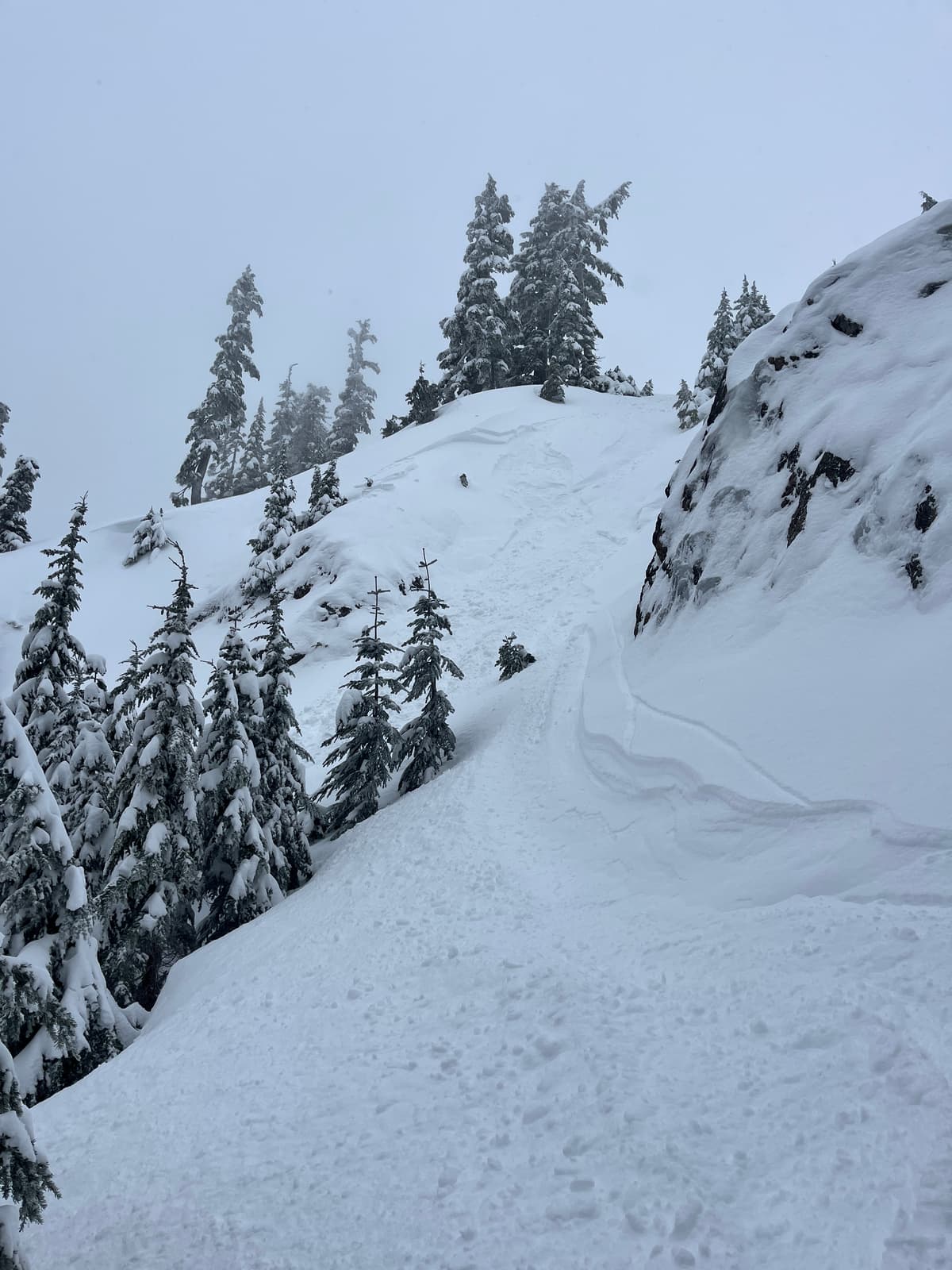 Skier triggered release of small wind slab