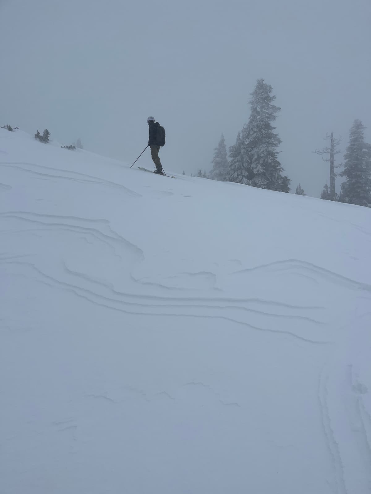 Wind affected in open areas