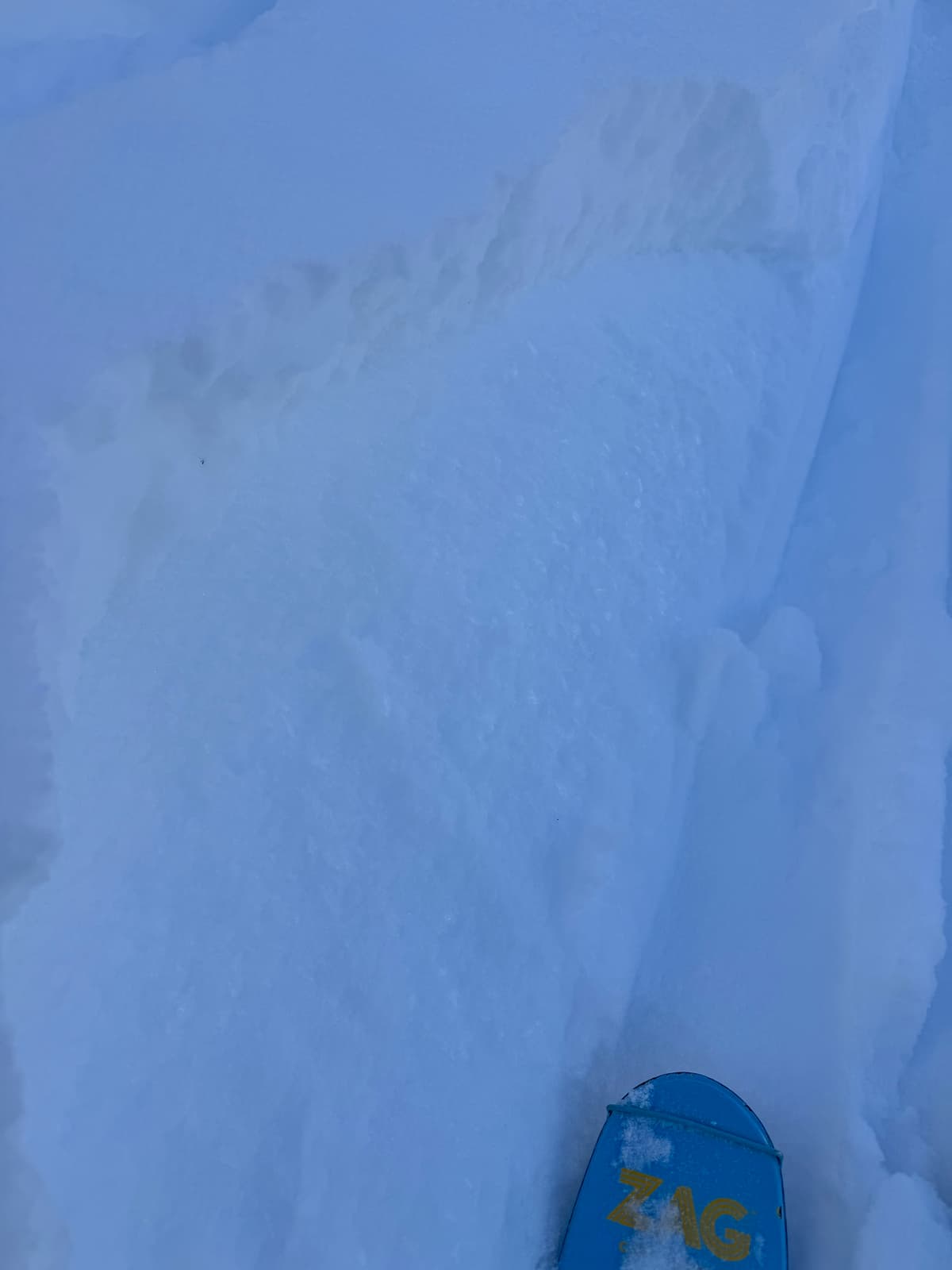 Jan 24 surface hoar layer exposed