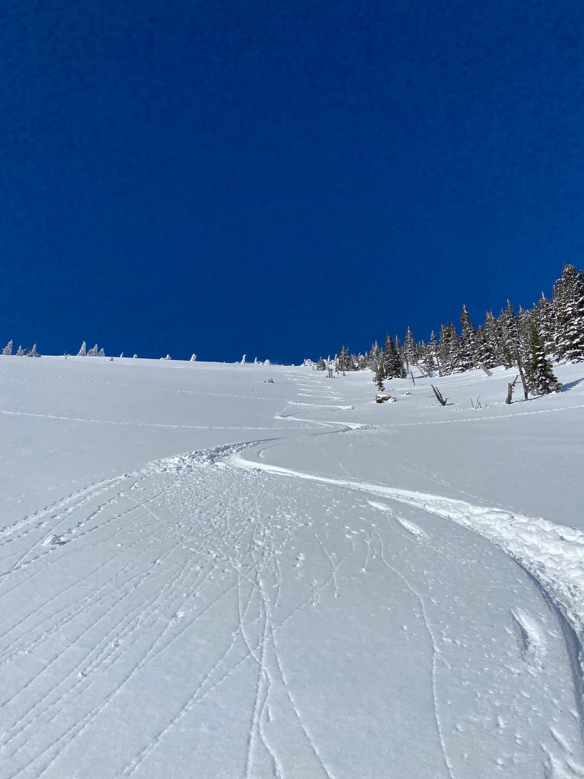 Great skiing on direct south aspect. 