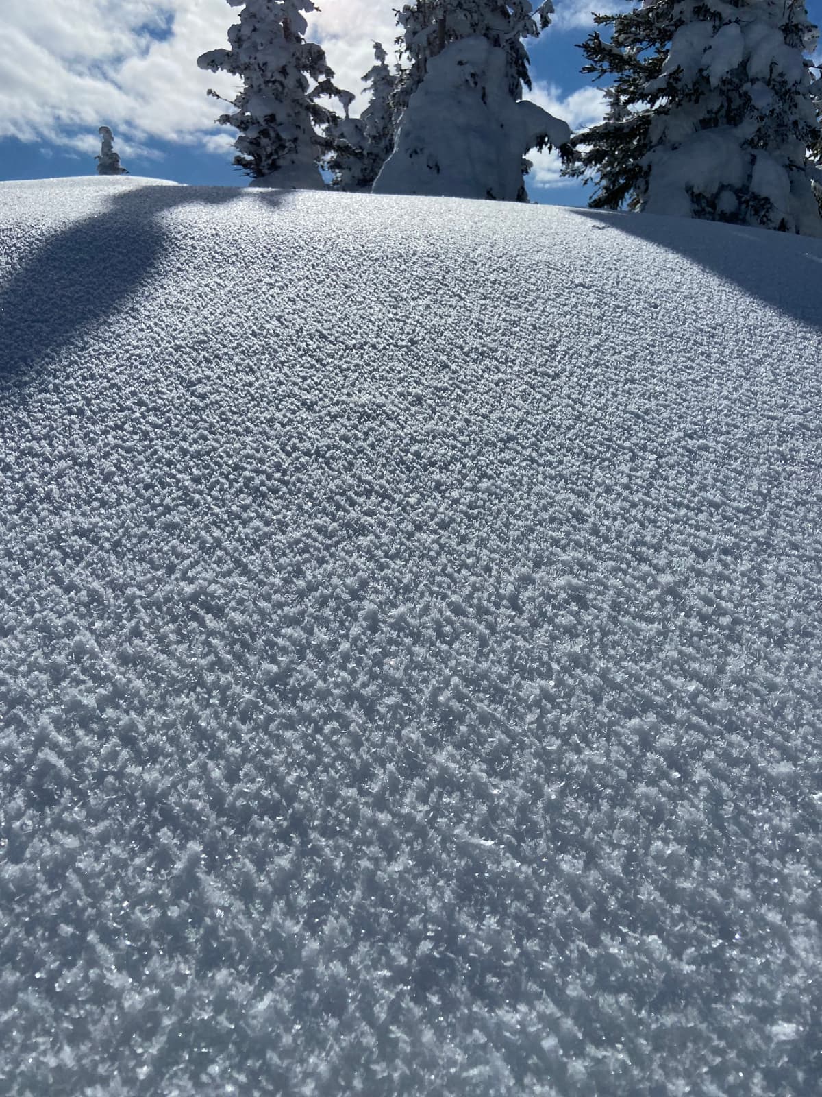 New layer of large surface hoar is quite prevalent above 2100m