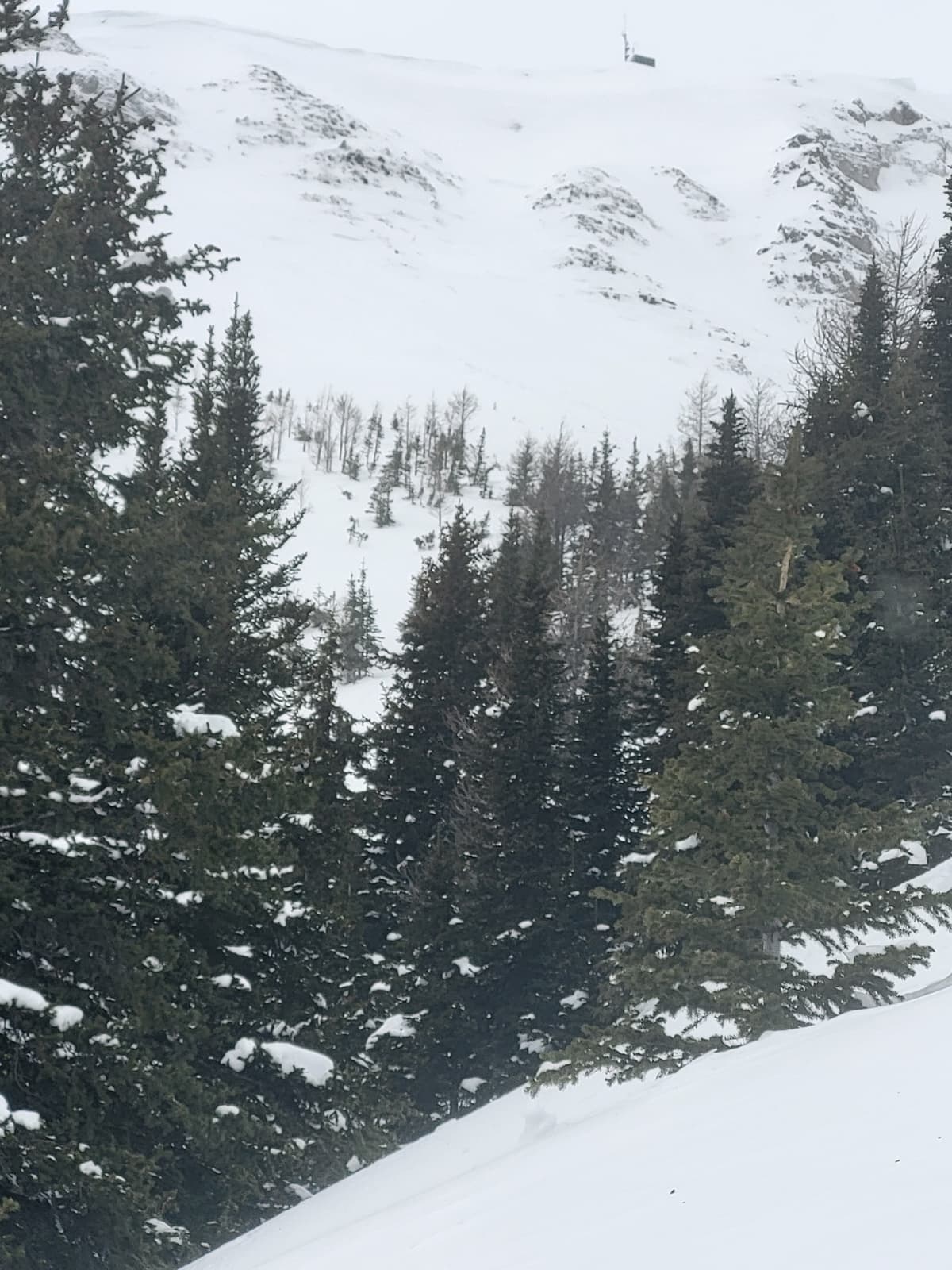 Start zone of size 2.5