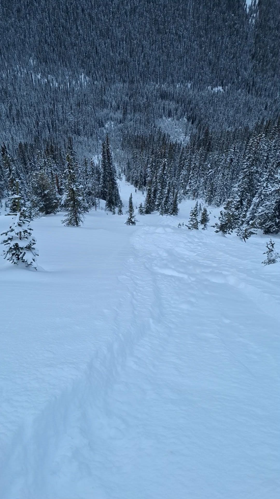 Loose dry in motion wizard chutes