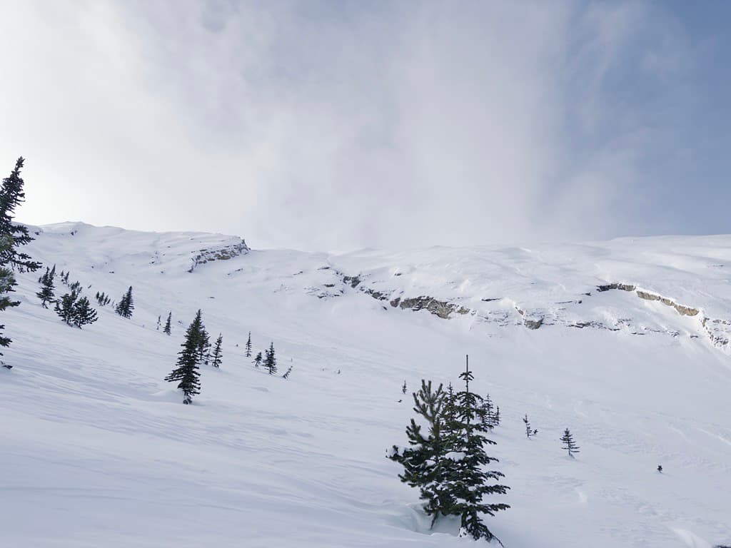 top of trees, looking up towards right side of peak