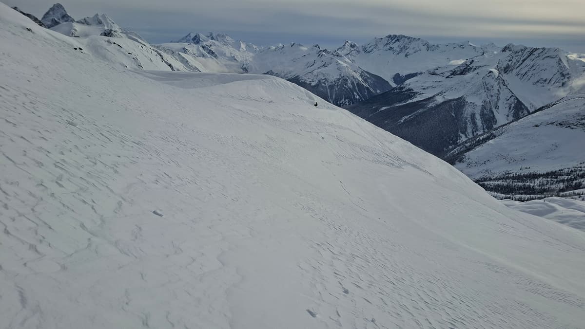 A remote triggered slab (30m long, 10cm deep) on the skiers left moraine. Uphill from the skintrack