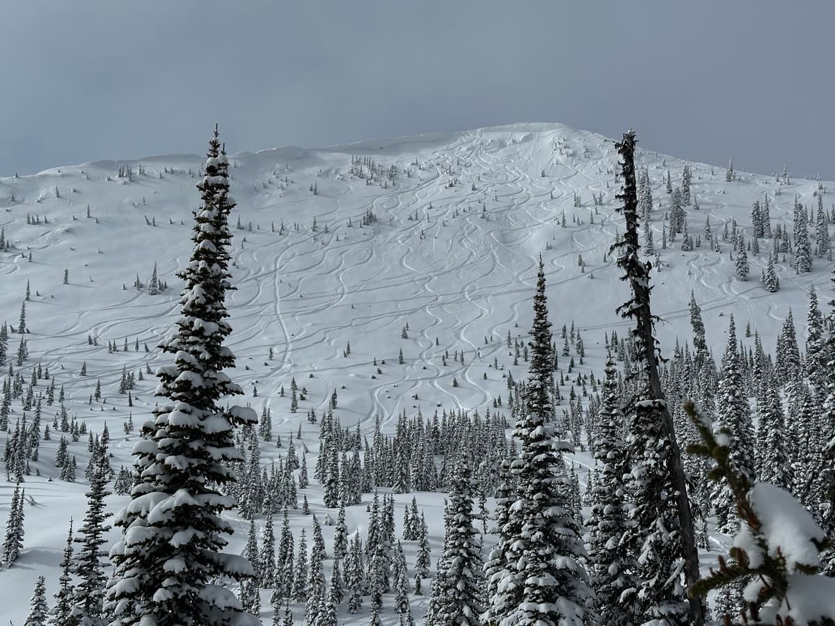 Cornice Ridge East Face Feb 15 11:31 am  