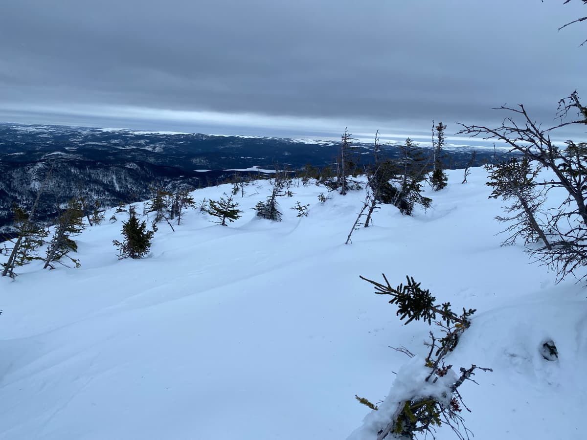 Top of ridge above the Landslide.  Small cornice solid (did not collapse with skier going over it).  Breakable crust below it.