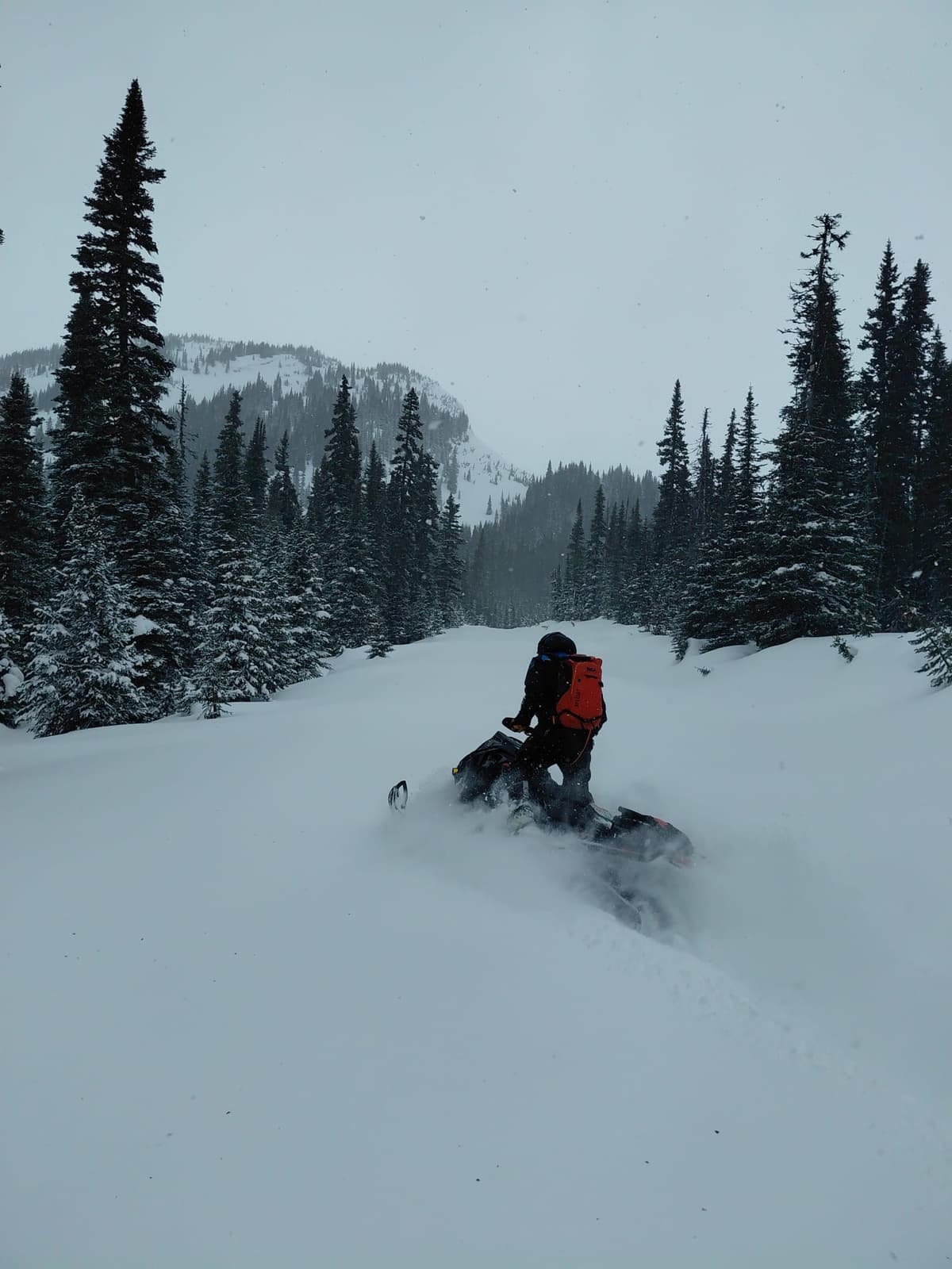 Snow was getting deeper as we got closer to the cabin. 