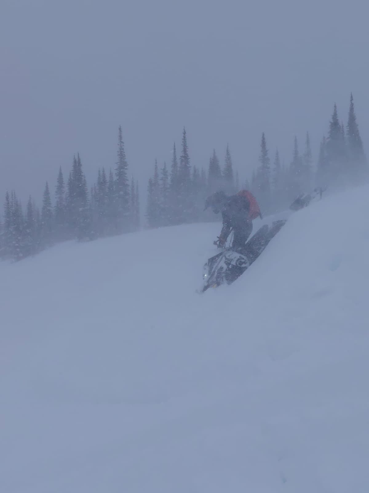 Deep wind slabs forming at treeline.